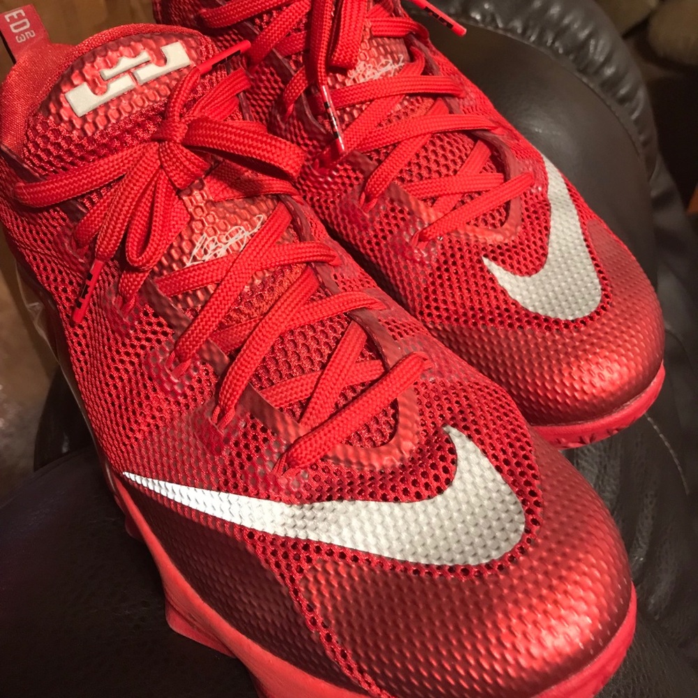 Nike lebron 12s   Size 12